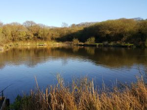 fishing pic lakeview 1